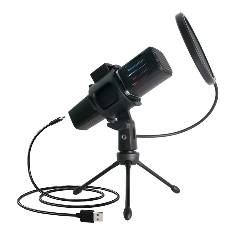 ZX663 Condenser Microphone - Professional Recording Quality