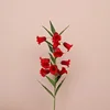 สีแดง