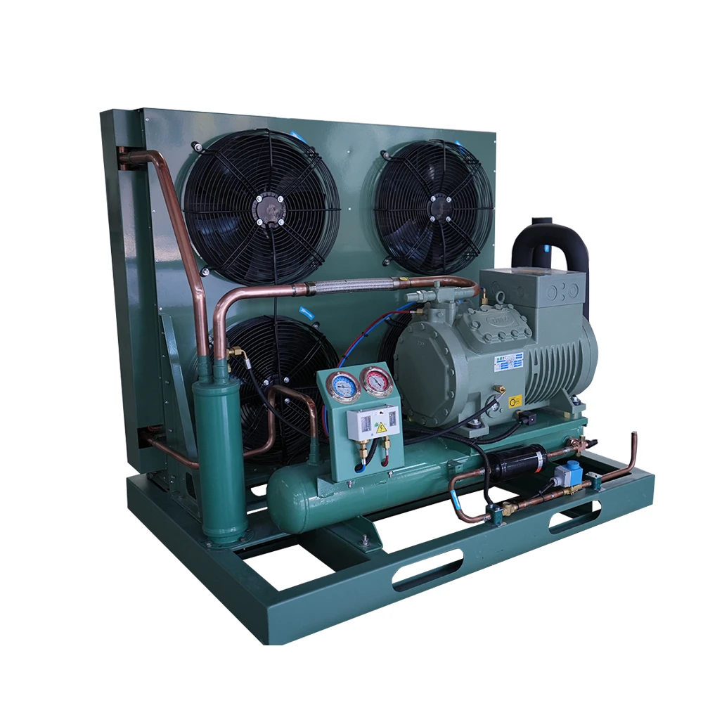 New Condition Bitzer Inverter Condensing Unit Semi Hermetic Refrigeration Compressors Factory Shop Cold Room Core Motor