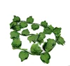 LV14 verde
