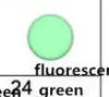 24 Fluoresce Green