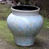 Lavande
