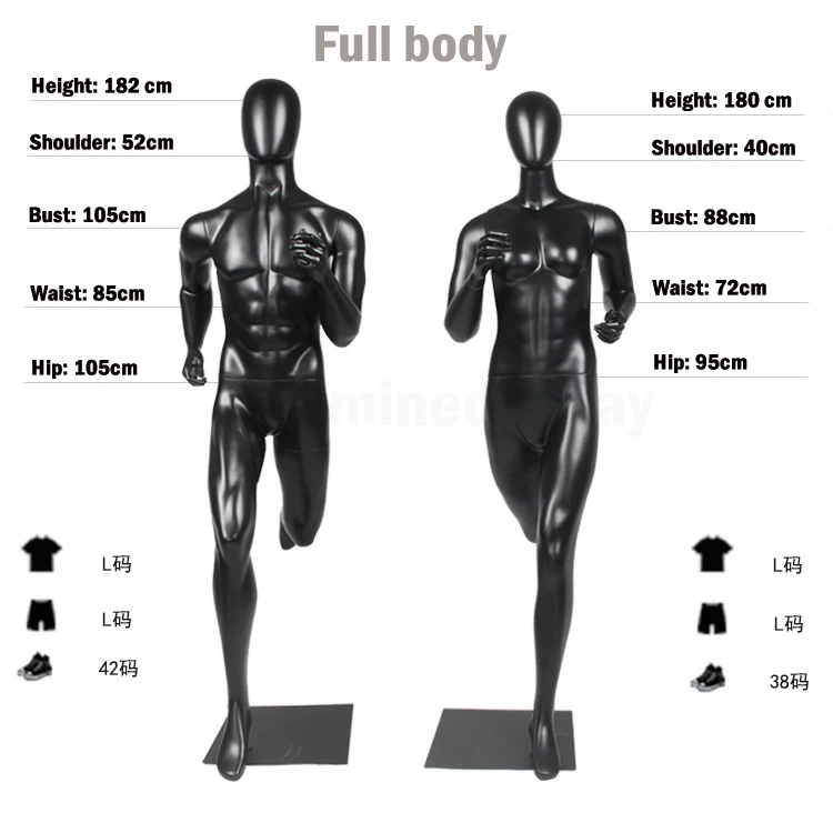 Physical Mannequin Measurements