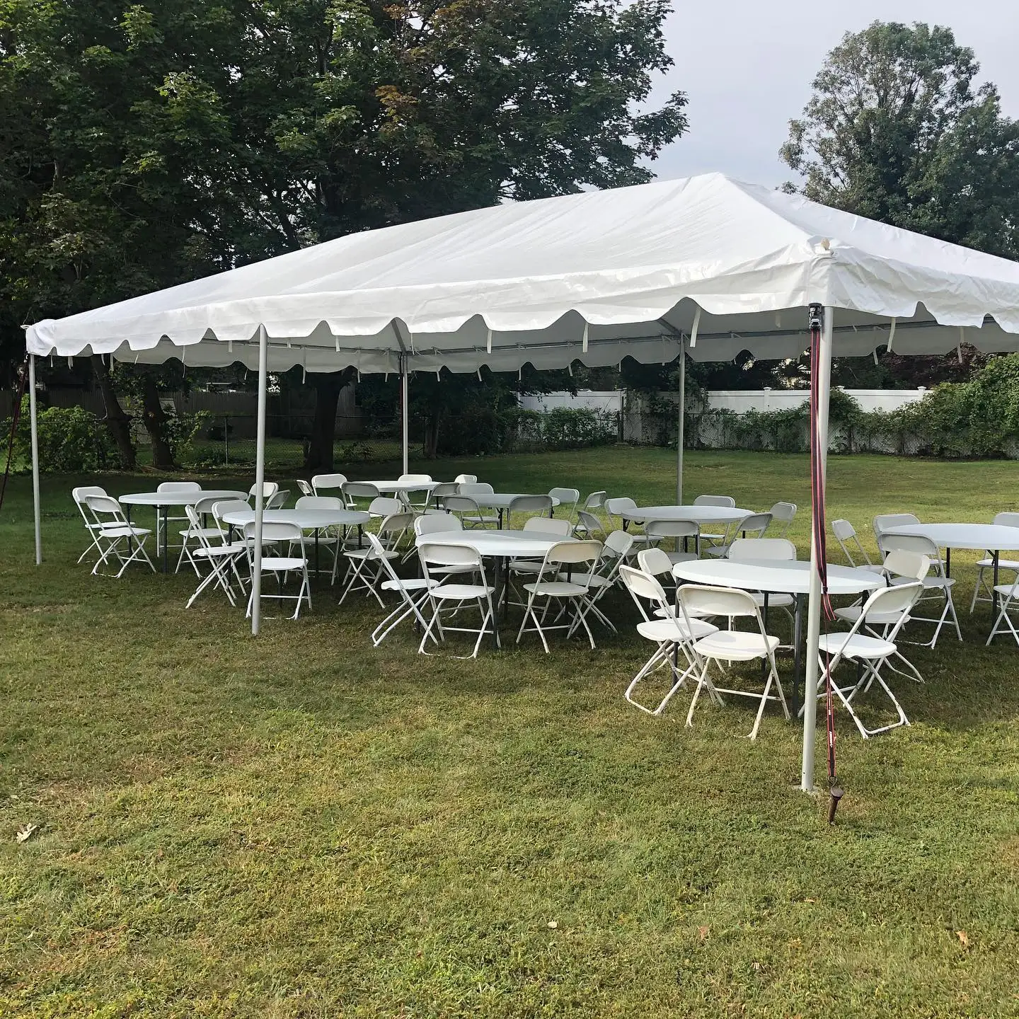 Celina Tent 10x20 Awesome Master Pvc Tent for Sale Party Trade Show Tents for Events Outdoor 10 ft X 20 ft (3 m X 6 M)