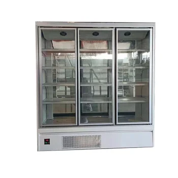 Customized refrigeration equipment walk in freezer room with freezer glass door /frame /display shelves
