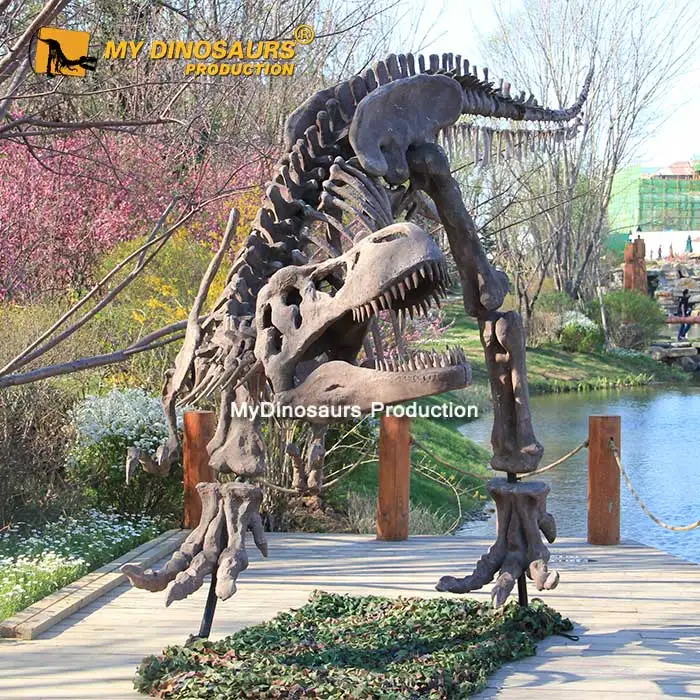 Wholesale Meu dino d27 tamanho original esqueleto do dinossauro t rex  modelos From m.alibaba.com