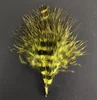 Giallo/Nero