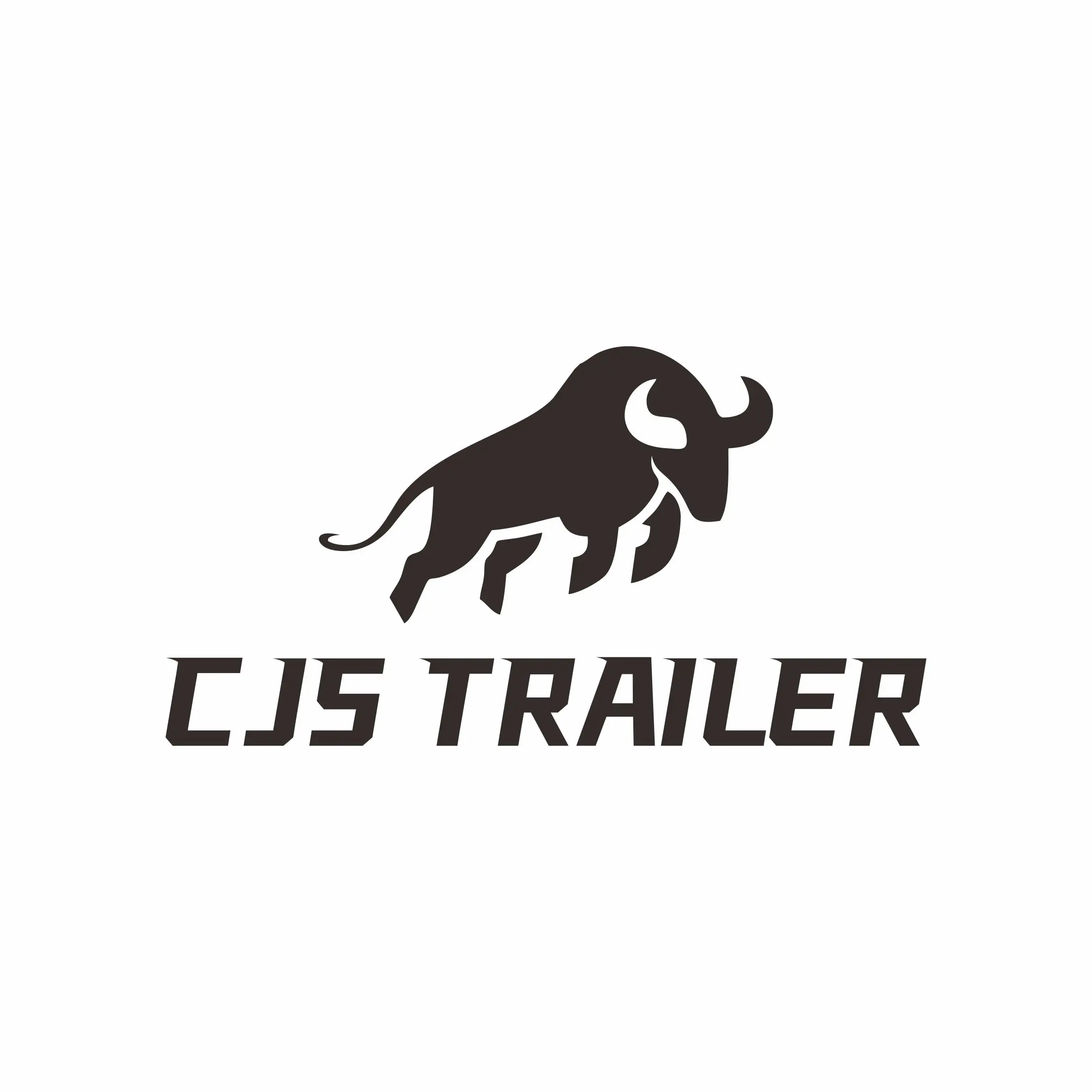Company Overview Cjs Industrial Technology Qingdao Co Ltd