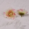 Una flor rosa melocotón
