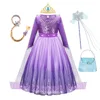 Viola con tutti gli accessori SKU01