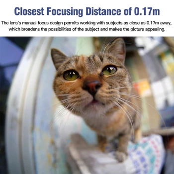 TTArtisan 11mm F2.8 Full Frame FishEyes Lens for Leic a M-Mount Camera M2 M3 M4 M5 M6 M7 M8 M9 M9P M10 M262 M240 Camera Lens detail image