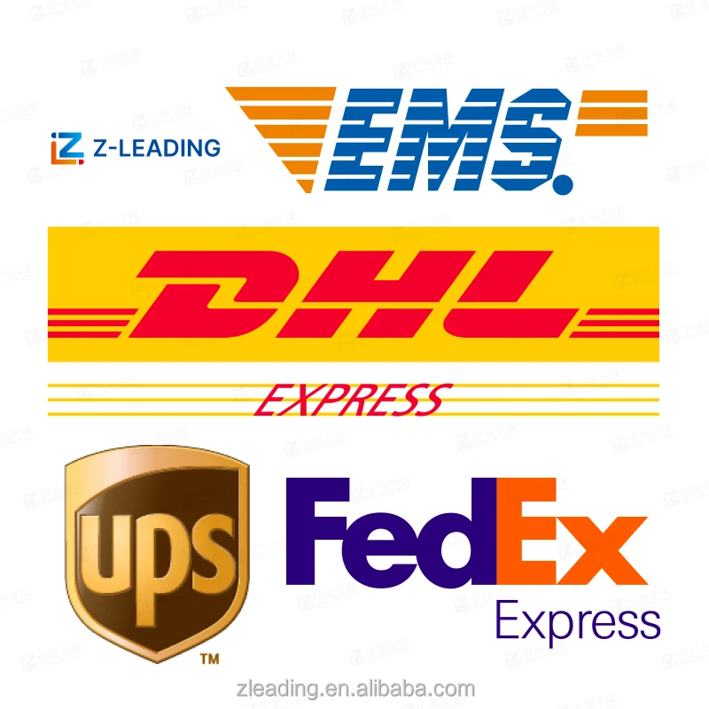 Fast Shipping Agent Top 10 Freight Forwarder to Japan Amazon Top Seller Import and Export Company International Courier Services