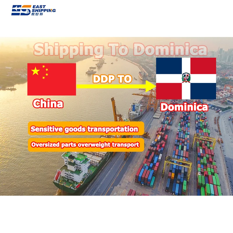 Dangerous Goods FOB Chile  China The Dominican Shipping Agent To Venezuela Sea Panama Forward Freight DDP Forwarder