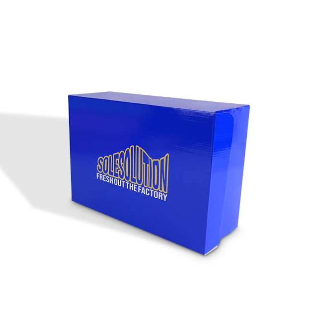 Low MOQ Custom Printing  logo Corrugated Packaging Recycle Mailer Paper Box Airplane Shipping Box for shoes supplier