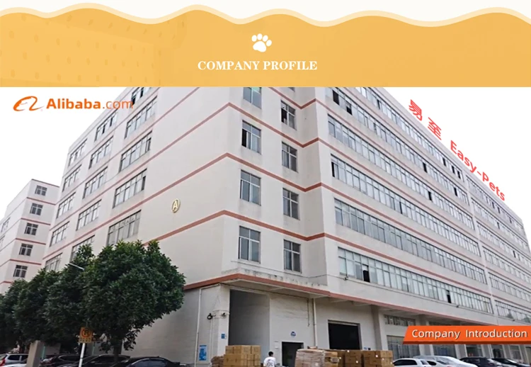 Changsha Yizhi Import And Export Co., Ltd.