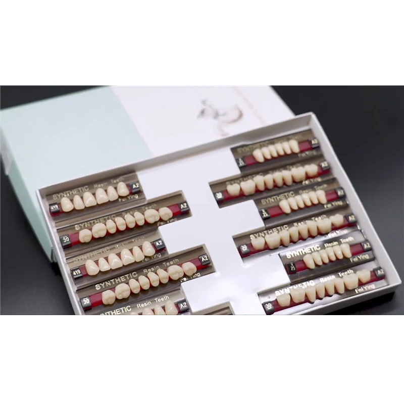 Factory Acrylic Resin Denture Polymer Teeth With Ce Iso For Free