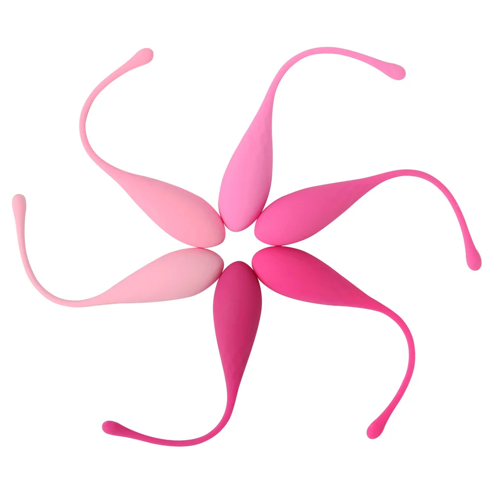 Female Pelvic Floor Muscle Repair Trainer Postpartum Sex Supply Six-piece Vaginal Dumbbell Shrink Kegel Ball Trainer