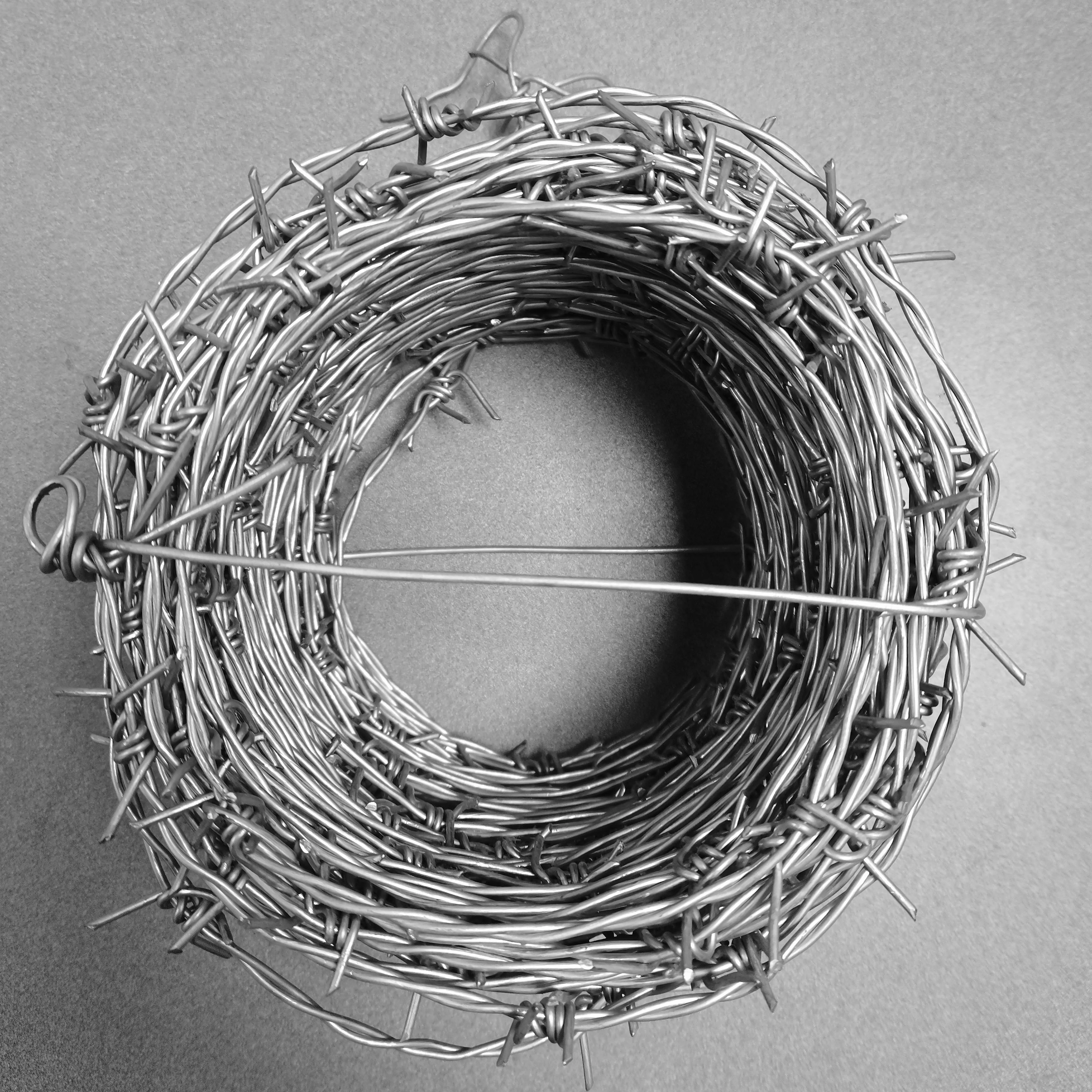 Steel Barbed Wire Galvanized Barbed Wire Fence