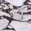 Calacatta Viola