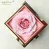 rosa preservada rosa