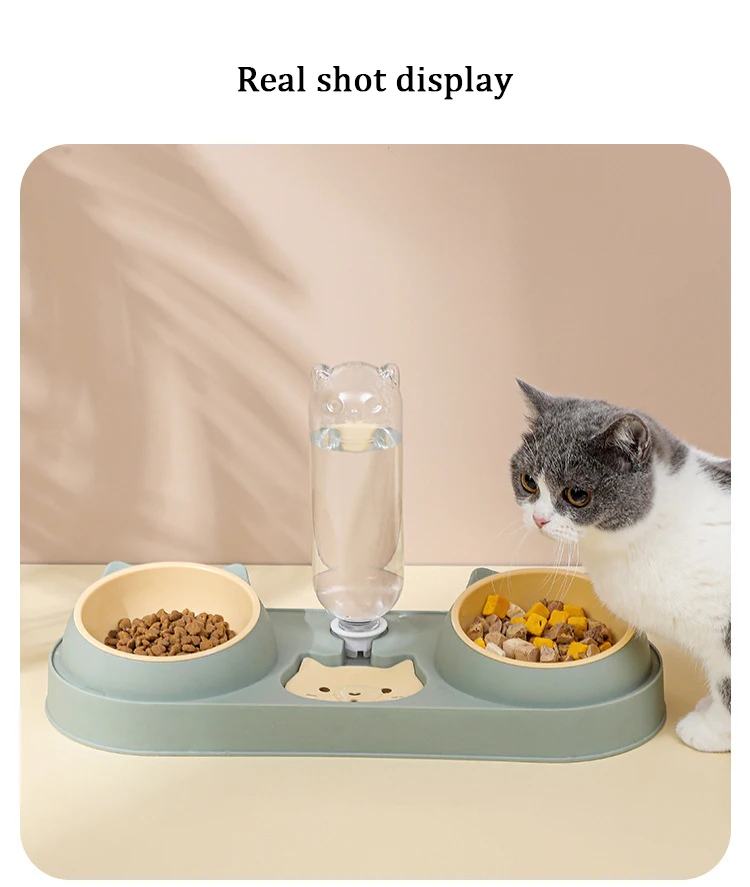 Indoor Tilted Cat Food Dishes Pet Easily Detached Wet And Dry Food Bowl