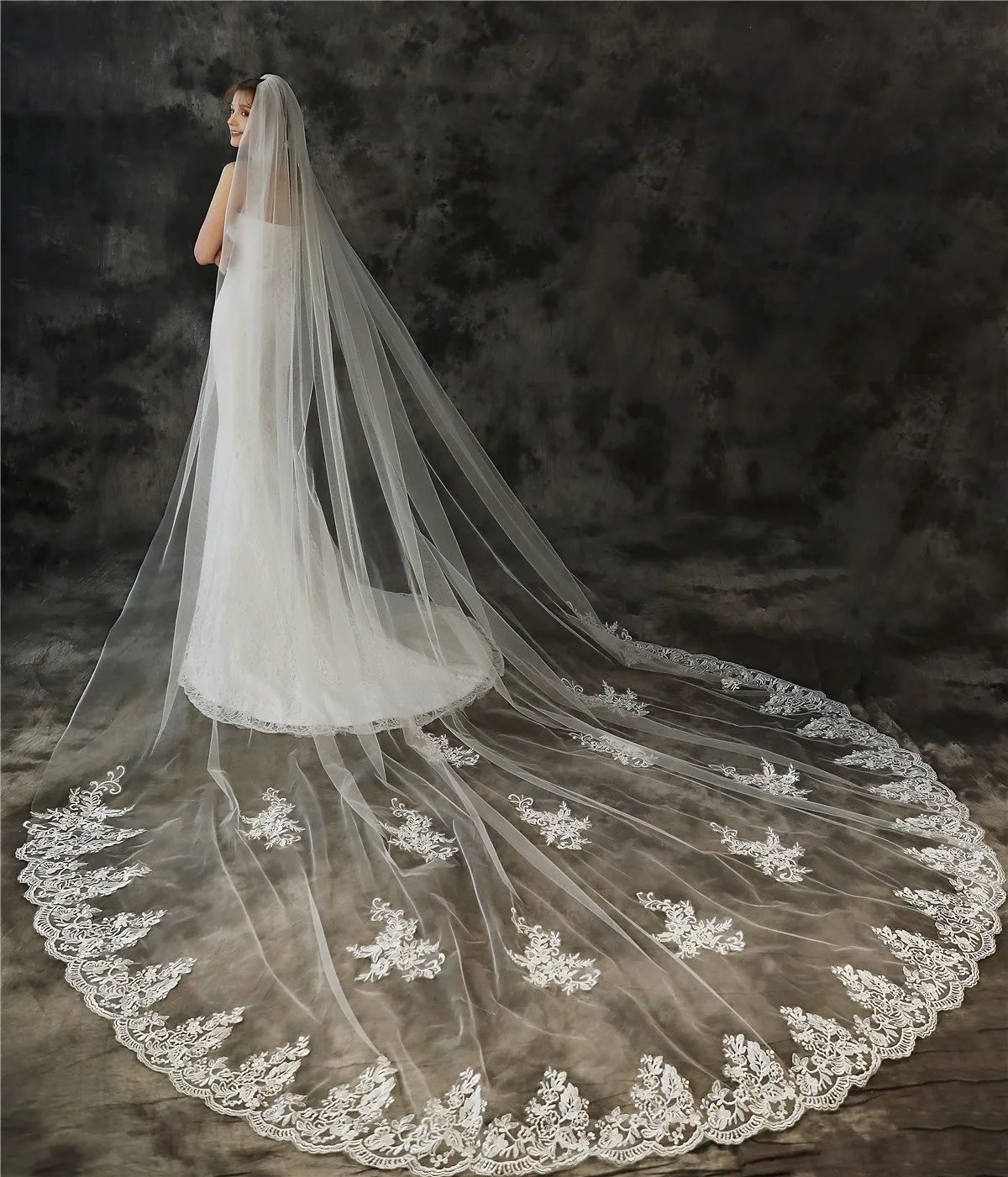 Single Layer White Ivory Bridal Veil with Comb Lace Applique Crystal Wedding