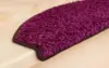 Aubergine