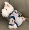 [Nuovo] Cane scozzese in tuta spaziale