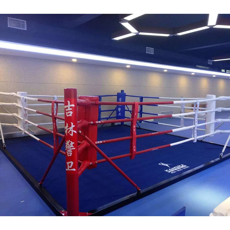 professional size boxing ring