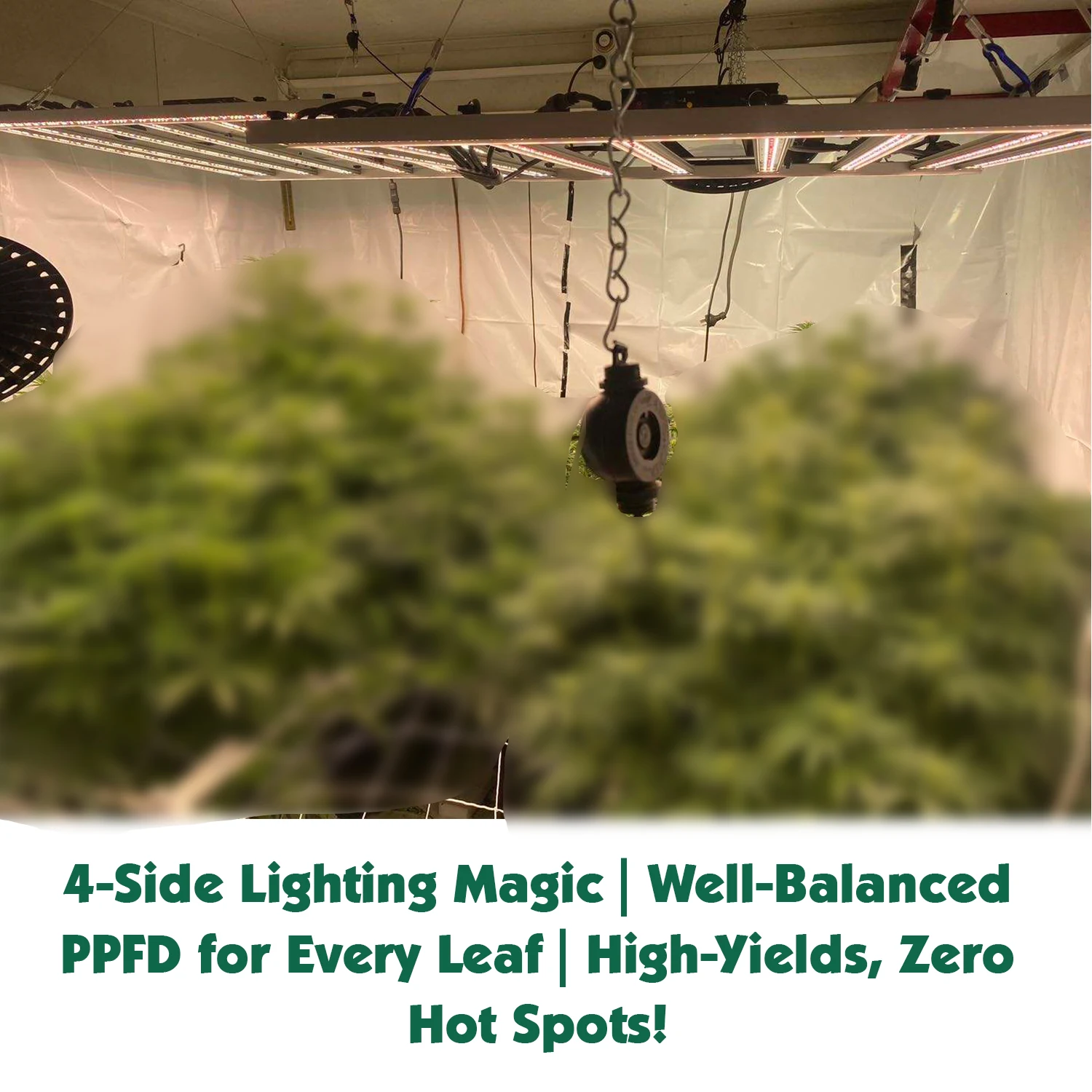 2025 New Balanced PPFD 3 Channel Dimming Grow Led Lm301h Evo Full ...