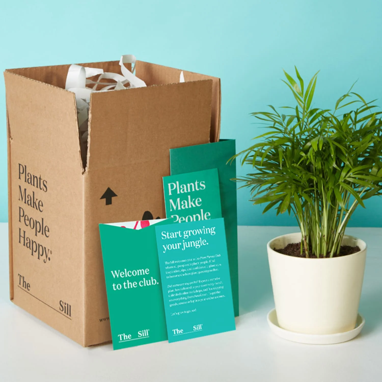 Corrugated Cardboard Plant Box Grown Succulent Packaging Live Plant
