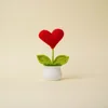 Planta en maceta roja en forma de corazón