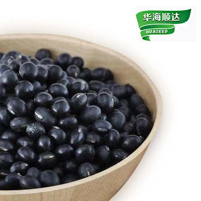 Wholesale Cheap Price Dried 2024 Organic Black Kidney Bean Black Beans