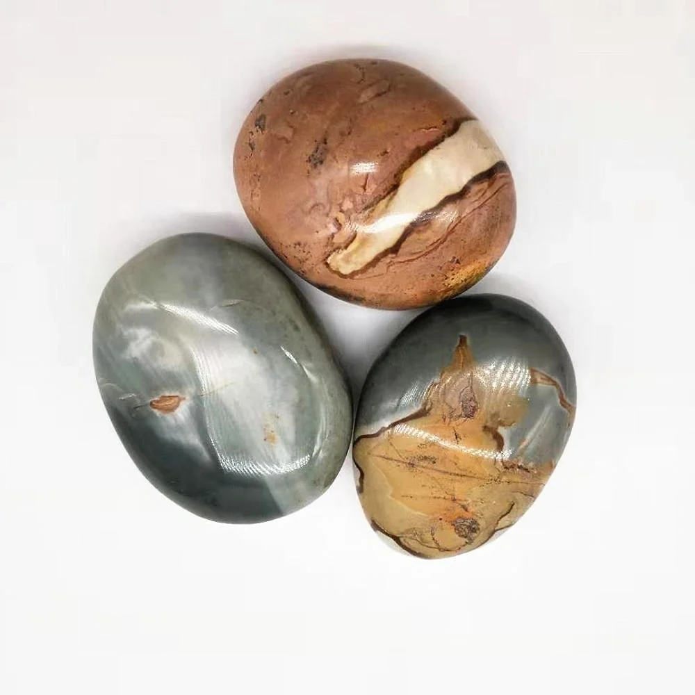 批发天然形成海石棕榈石