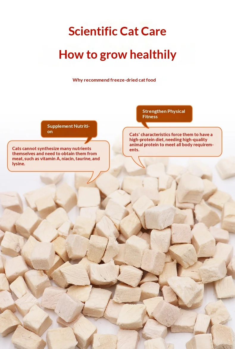 product oem pet freeze dried cat snacks chicken breast duck breast egg yolk salmon liver-0