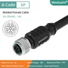 M12-A-6 female straight