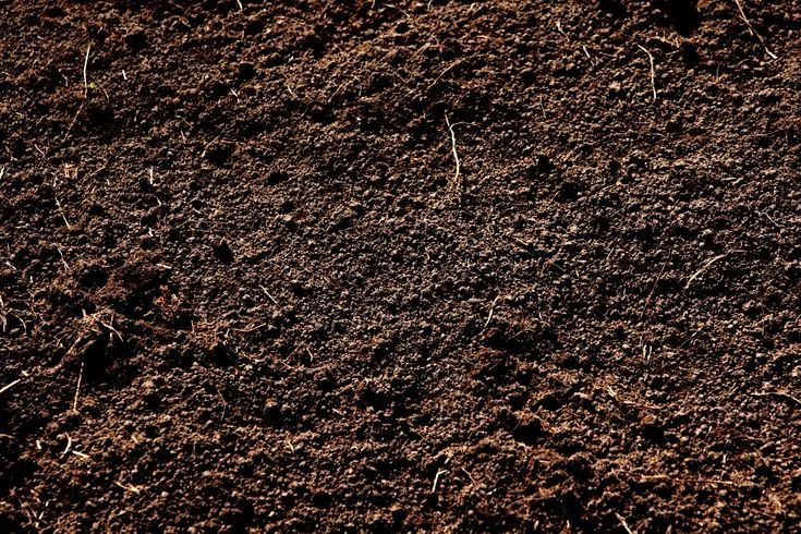 Shop Biological Fertilizer Bacillus mucilaginosus-Detailed Image 2