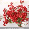 Rama roja del nomeolvides