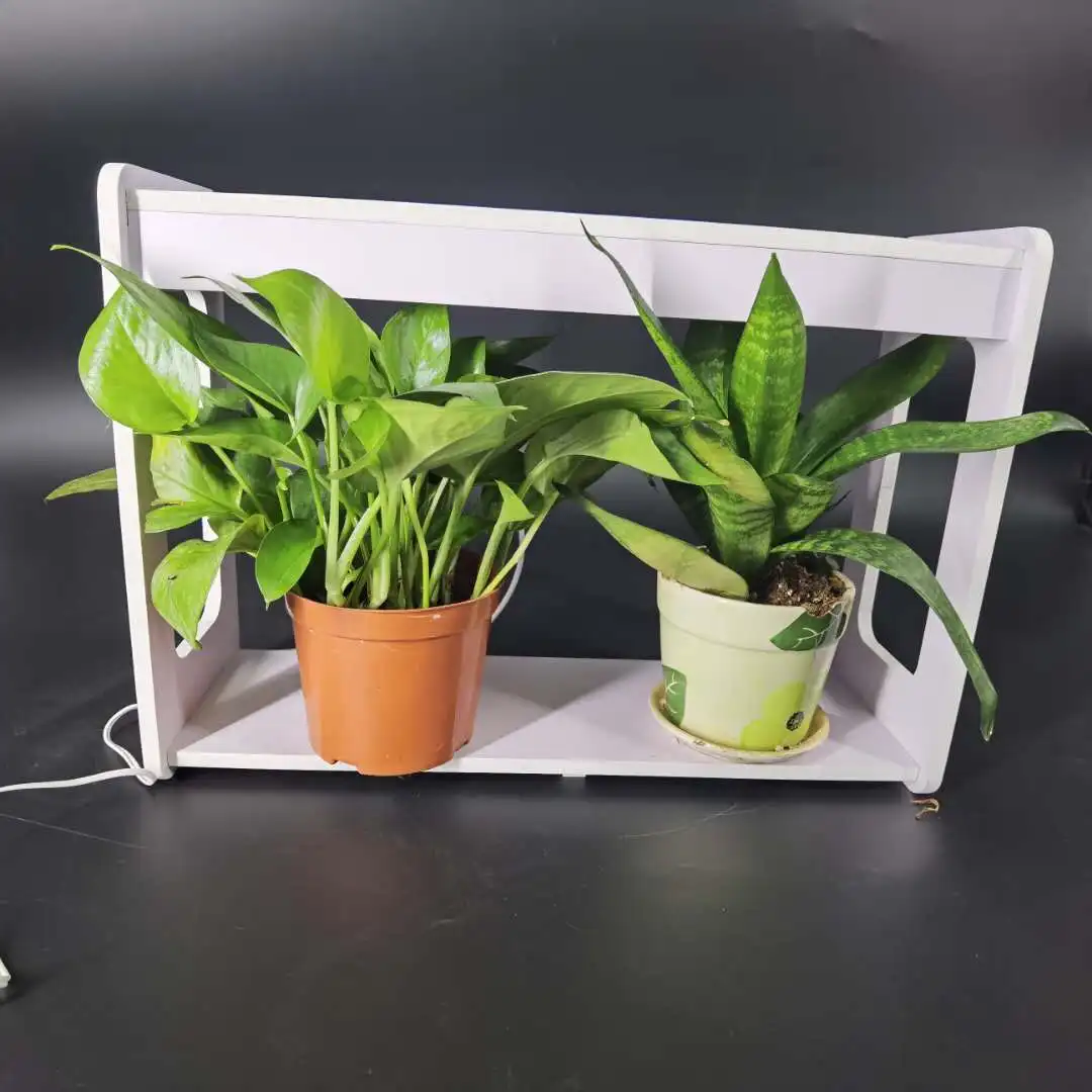 Multifunctional plants seedlings growth LED natural sunlight and  elegant room and office decoration lights