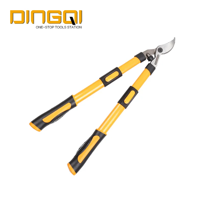 Dingqi Professional Telescopic Garden Shear Lopper Tree Branch Pruner Cutter Pruning Shear Tree Branch Saw Ratchet Not Coated Buy Garden Pruner Tree Pruner Professional Garden Shears Product On Alibaba Com