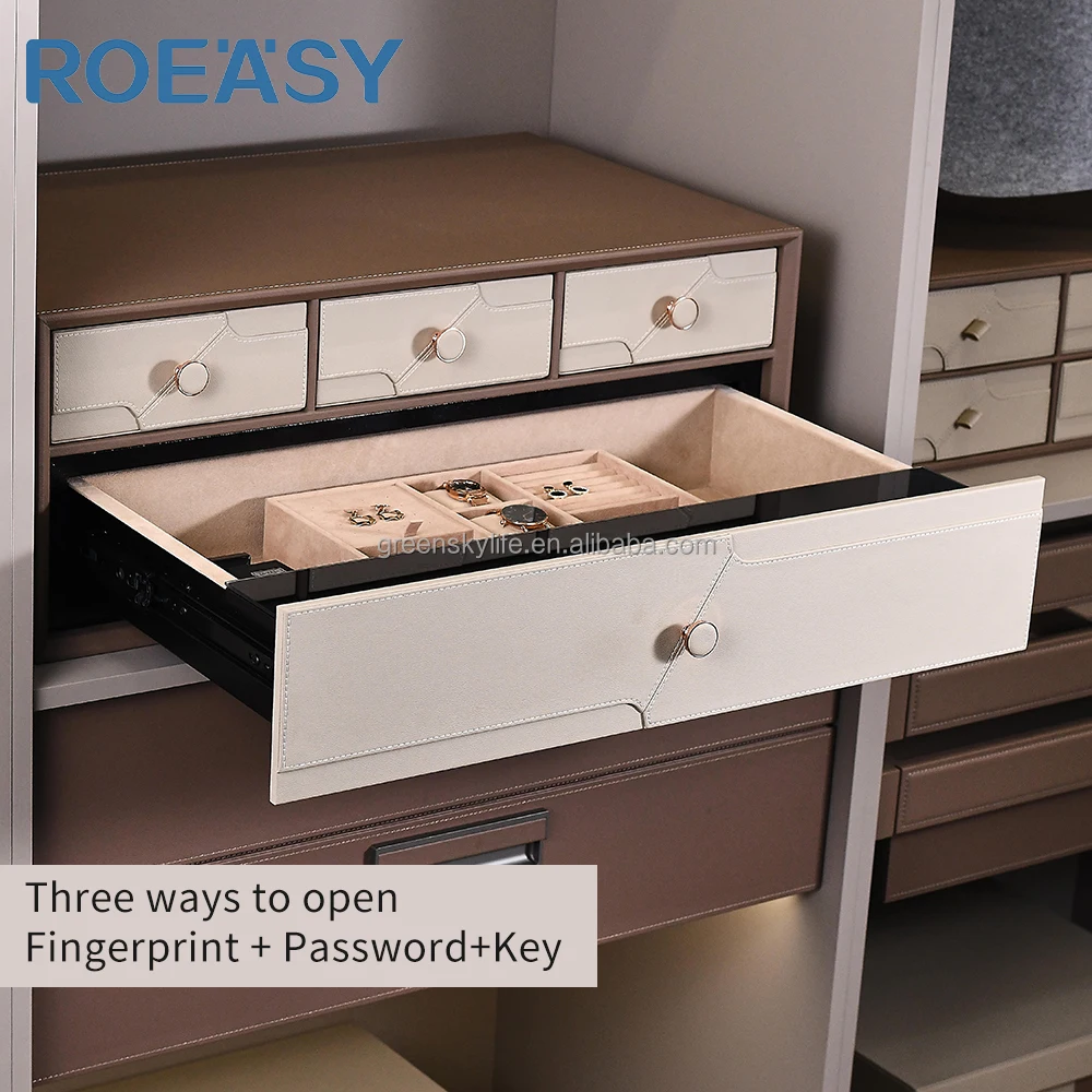 ROEASY Double Layer Smart Fingerprint Drawer Password Drawer Organizer ...