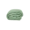 Menta
