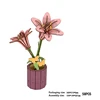 Lily 2