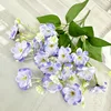 Blue Purple