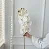 10-head display pattern phalaenopsis orchid-white-1 stem