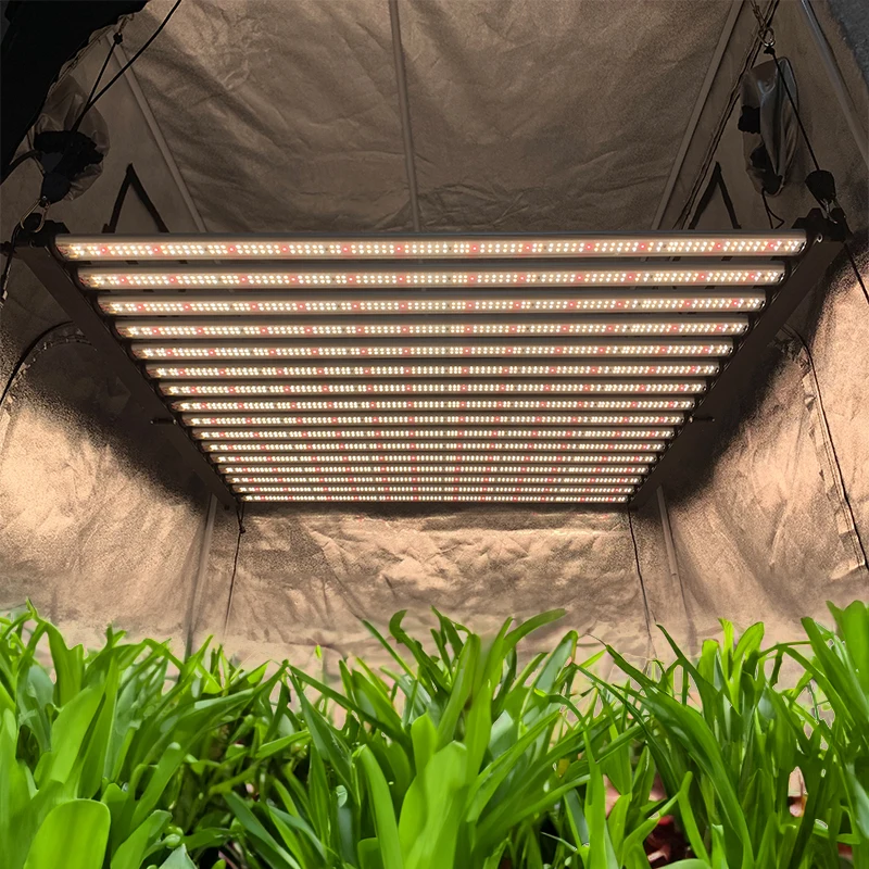 Luxint Factory Price 16 Bars High Intensity 1000w Grow Light Led