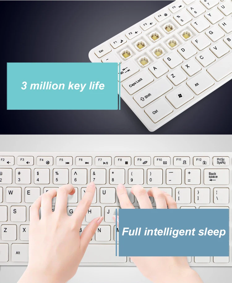 product-1-1 product-1-1