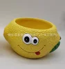 Maceta de 11 limones en flor.