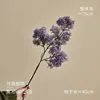Herbe de givre, violet rosé, 1 tige [pas de bouteille]
