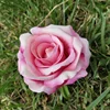 rosa scuro